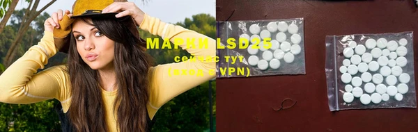 PSILOCYBIN Протвино
